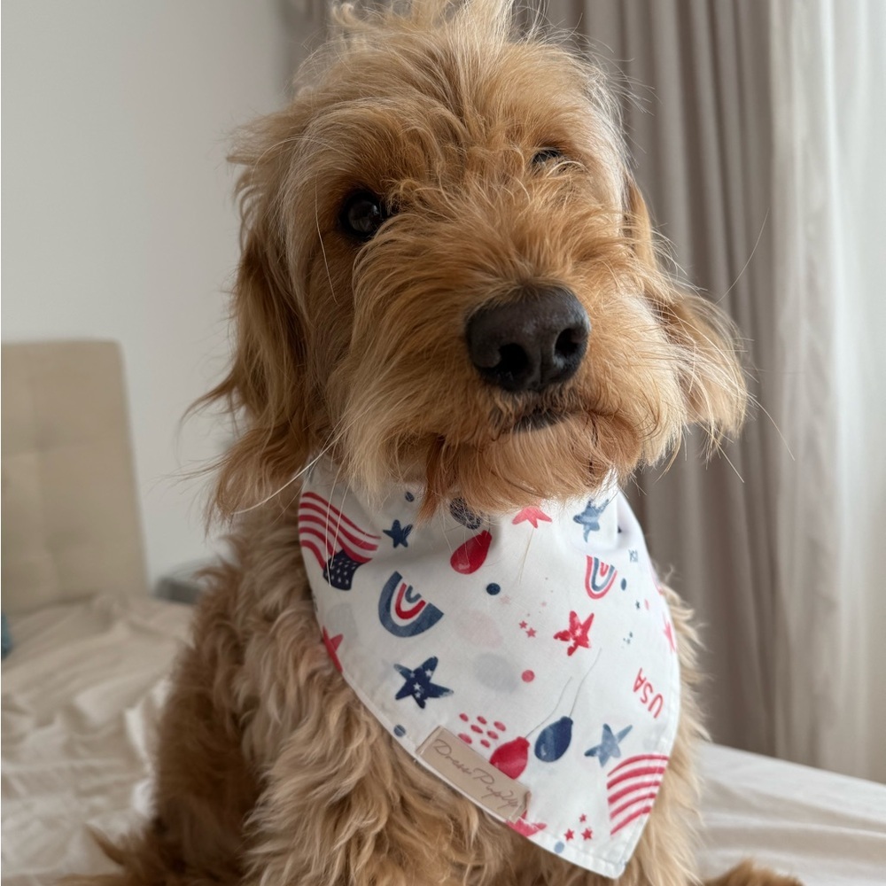 Patriotic Dog Bandana